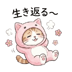 sky2000_20251221200515