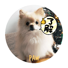 PawPaw_20251221195729