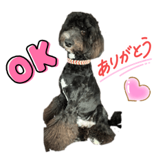 andeeeeee_20251221212744