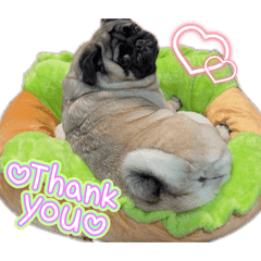 ponyo._20251221213537