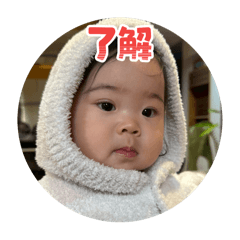 Lotus castle_20251222073701