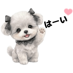 maimai_20251222071235