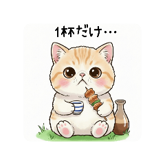 Motiko_20251222074925