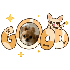 mocha_20251222073649