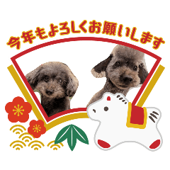 balveniehaus_20251222075945