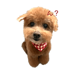 inu planet_20251222081814