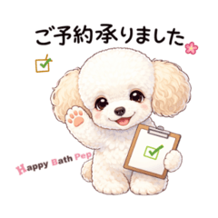 minami_20251221215018