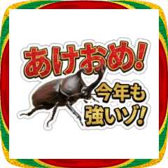 Real Insect Photo Stickers for Daily Use