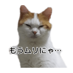 Motiko_20251220011726