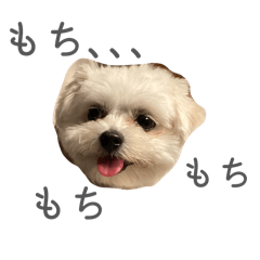 omochi_20251221202609