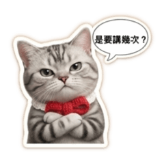 Pocky跟Louie的日常用語（第二彈）