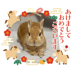 chika_20251222114307