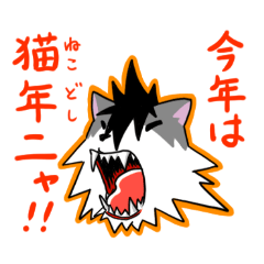 Tourry Cat Christmas,Newyear