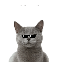 munyamu_20251220075542