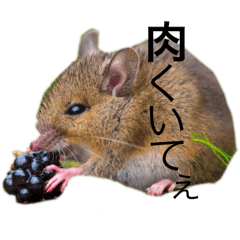 yuuma_20251220084610