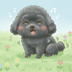 Daily Life of a Black Furball