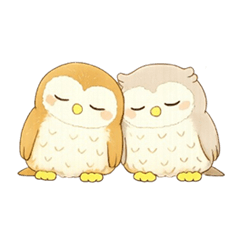 The Owls: Fukku and Zukku