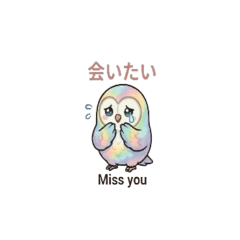 Cute Rainbow Owl: Warm Feelings for You
