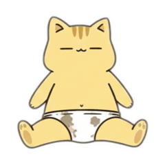 A Slightly Messy Cat