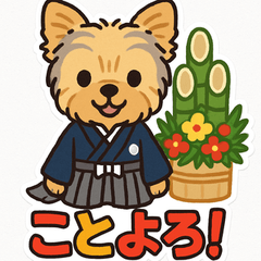 I,m Coo Yorkshire Terrier