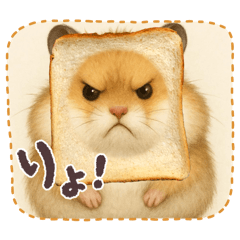 hamham_20251220120813