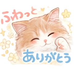 chiffon_20251220130458