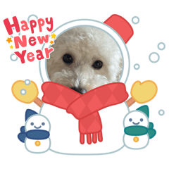 Marsh_20251220131906