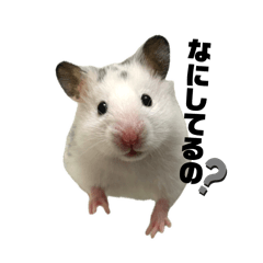 takosuke_20251220155219