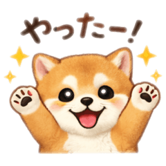 Fluffy Mame Shiba Stickers
