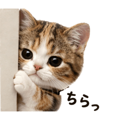 Too Cute to Resist cat