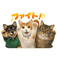 Satop_20251220170533