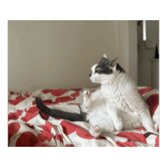 FUJIKO_20251220172624