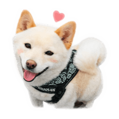 Erina_20251220171635