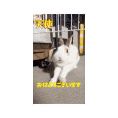 A0118_20251220190410