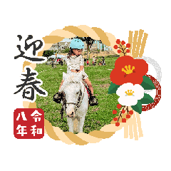 tom mama_20251220212520