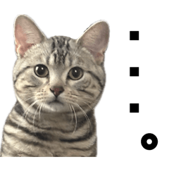 kazuyu_20251220222033