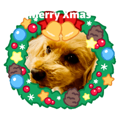 LovePower_20251220230242