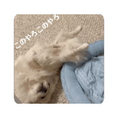 Haruandtumugi_20251222132108