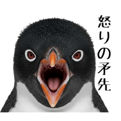 miyoshi_20251221004452