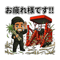 Agriculture_Sugarcane harvest-Daily use