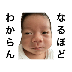 mikopan_20251221213556