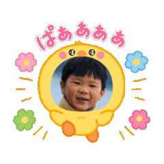 pon poko_20251222112951