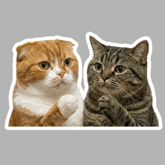 Chacha & Mimi & Kuro