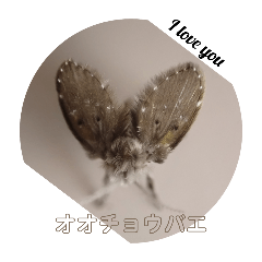 INAGORO1756_20251221222656