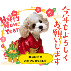 pomme_20251221235803