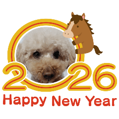 Mayumi.Kuyama_20251221223623