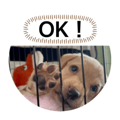 MukuBell_20251221223444