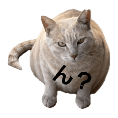 natsuki_20251222000846