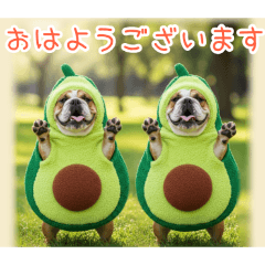 PAKAMOGOLY_20251222124124