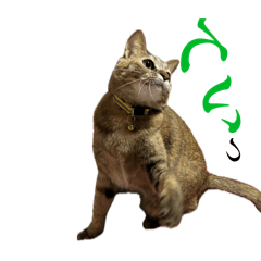 MOCHA_20251222123531